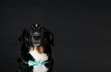 Load image into Gallery viewer, Dog Bow Tie