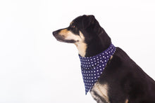 Load image into Gallery viewer, Dog Bandana