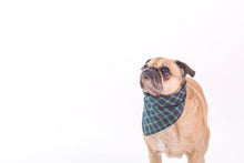 Load image into Gallery viewer, Dog Bandana